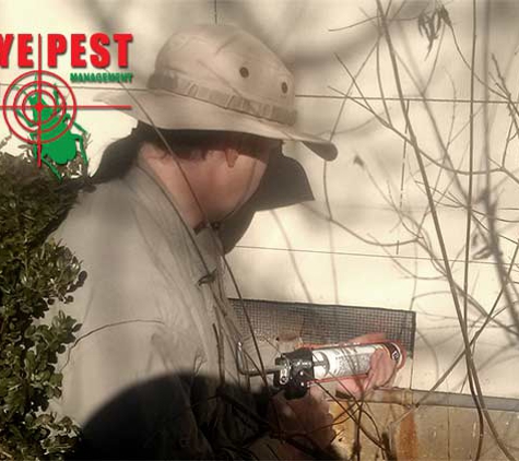 Bullseye Pest Management - Arlington, TX