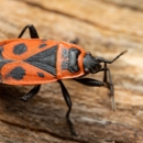 Astro Exterminating Services Inc - Pest Control Equipment & Supplies