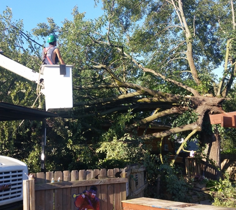 Tru-Cut Tree Service - Kokomo, IN