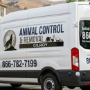 Animal Control & Removal Gilroy - Pest Control Services
