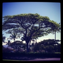 Kolea at Waikoloa Beach Resort - Hotels