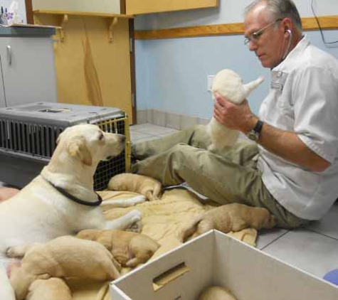 Flagler Animal Hospital - Flagler Beach, FL