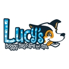 Lucy's Doggy Daycare and Spa - Loop 1604