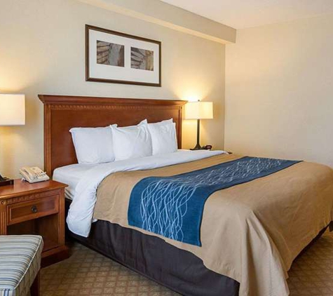 Comfort Inn & Suites Virginia Beach-Norfolk Airport - Virginia Beach, VA