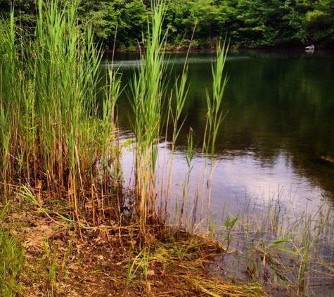 F. Gilbert Hills State forest - Foxborough, MA