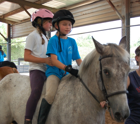 Southern Breeze Equestrian Center - Fresno, TX