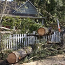 Brown's Tree Care - Arborists