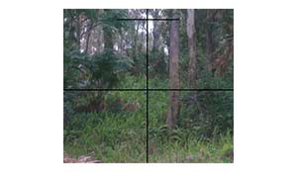 Zenith Surveying Services - Tuncurry, NSW