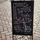 Pounce Cat Cafe - Humane Societies