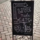 Pounce Cat Cafe