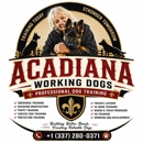 Acadiana Working Dogs - Dog Training