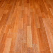Gallery Image Number 2