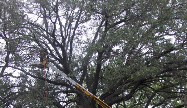 JLP Tree Service