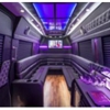 A Courtesy Limousine gallery