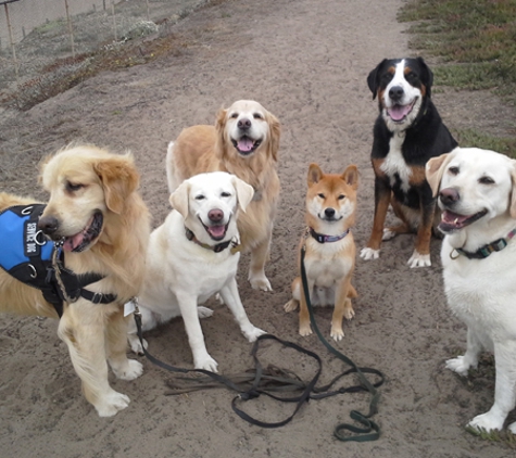 Mark's Bark Walk - Tampa, FL