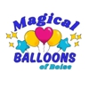 Magical Balloons of Boise gallery