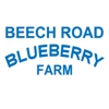 Beech Road Blueberry Farm gallery