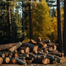 Hershberger Logging - Logging Companies