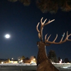 The Buck Stops Here Market & Eatery