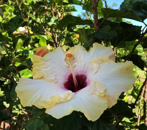 National Tropical Botanical - Koloa, HI