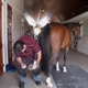 Seth Parker Grand Prix Farrier Service