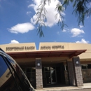 Kaitlyn Imamura - Scottsdale Ranch Animal Hospital - Veterinary Clinics & Hospitals