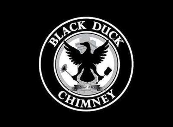 Black Duck Chimney - Hamilton, MI