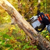 Palencia Landscaping and Tree Service Inc. gallery