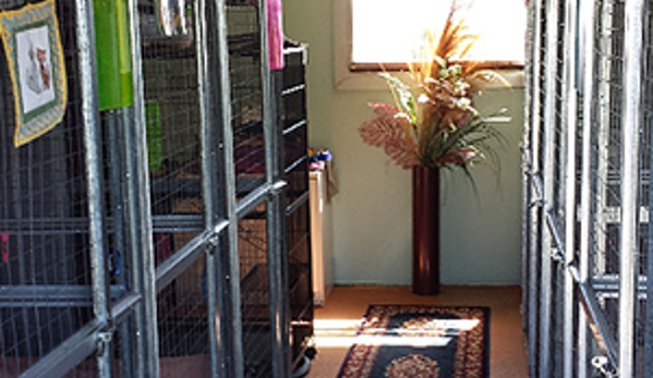 Ulverstone Boarding Kennels & Cattery - Ulverstone, TAS