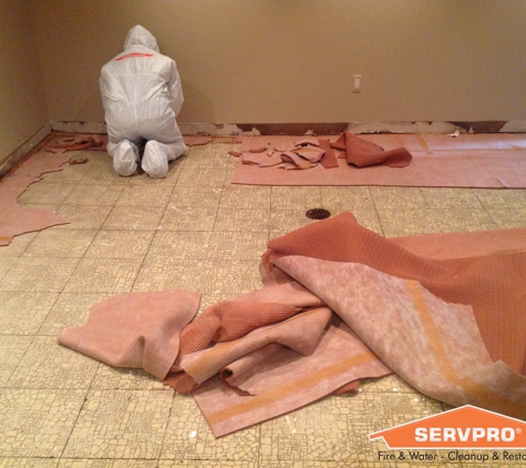 SERVPRO of Mount Clemens / New Baltimore - Chesterfield, MI. Water and Mold in home