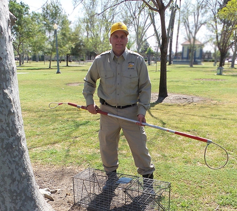 Benchmark Pest Control, Inc. - Bakersfield, CA