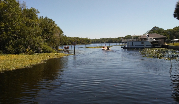 Sand Dollar Charters @ St. John's River - Astor, FL. St. John's River viewed from the southern end of Blue Creek