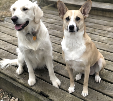 Hannah’s Pet Sitting - Rochester, MN