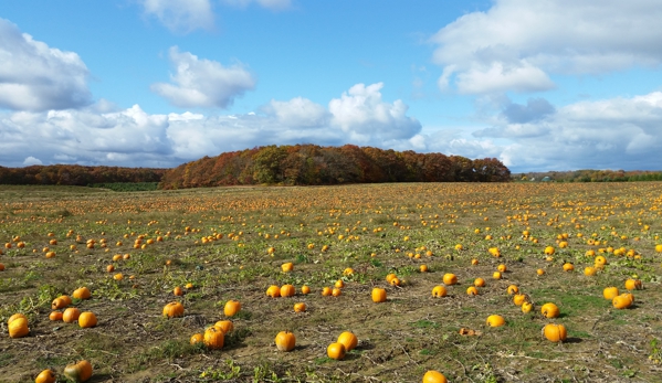 Lewin Farms - Calverton, NY