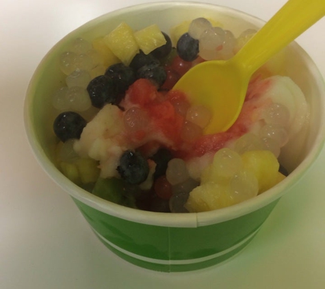 Lolas Frozen Yogurt - Bowling Green, OH