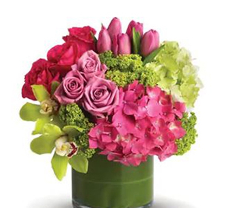 Mossman Florist - Mossman, QLD