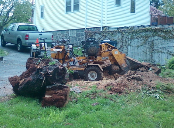 Stargardens tree stump grinding. - West Roxbury, MA