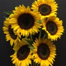 Stein Your Florist - Florists