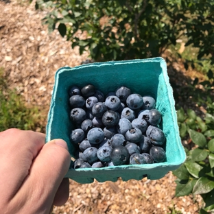 Wards Berry Farm - Sharon, MA