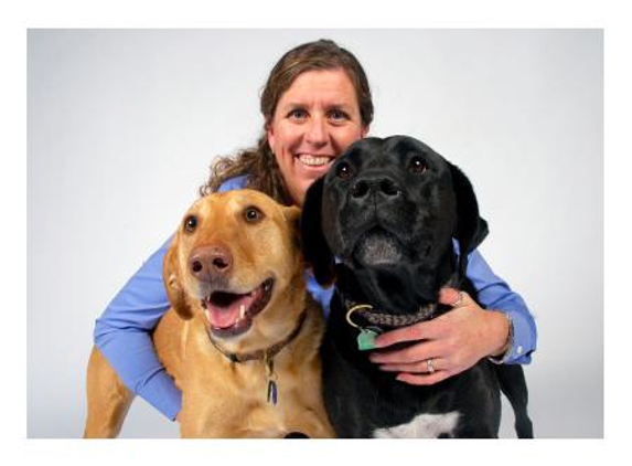 "Don't Fret Pet!" - Nunawading, VIC