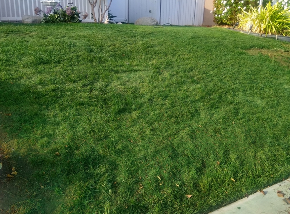 AAA Lawn Painting - West Hills, CA. After