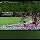 A1A Landscaping - Landscaping & Lawn Services