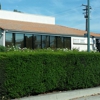 Dino Clarizio M D gallery