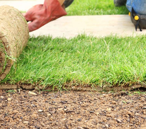 Gough's Turf Supplies - Long Point, NSW. Lush, Healthy Turf Delivered Straight To Your Door