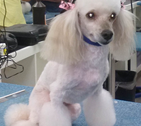 Poochitas Dog Salon & Spa - Hollywood, FL