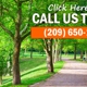 Modesto Tree Services