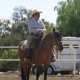 Vaquero School of Horsemanship