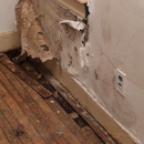 Indoor Green Solutions - Mold Remediation