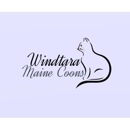 Windtara Maine Coons - Dog Training
