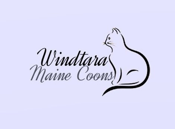 Windtara Maine Coons - Morganton, GA